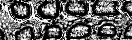 Abstract background. Monochrome texture. Image includes a effect the black and white tones.