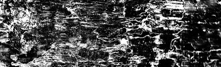 Abstract background. Monochrome texture. Image includes a effect the black and white tones.