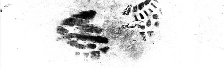 Abstract background. Monochrome texture. Image includes a effect the black and white tones.