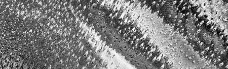 Abstract background. Monochrome texture. Image includes a effect the black and white tones.