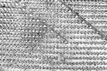 Abstract background. Monochrome texture. Image includes an effect the black and white tones.の写真素材