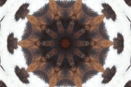Abstract kaleidoscope background. Abstract background.