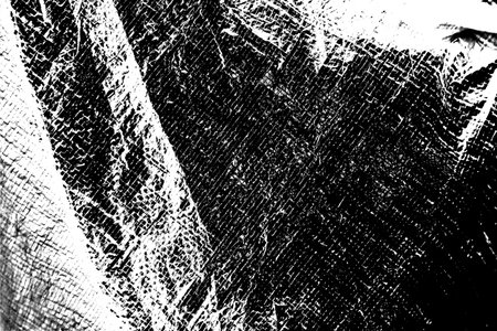 Abstract background. Monochrome texture.の写真素材
