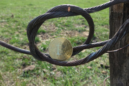Bitcoin on abstract background. Bitcoin. Cryptocurrency background conception.