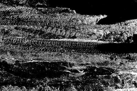 Abstract background. Monochrome texture. Image includes a effect the black and white tones.の写真素材