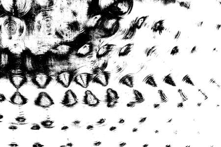 Abstract background. Monochrome texture. Image includes a effect the black and white tones.