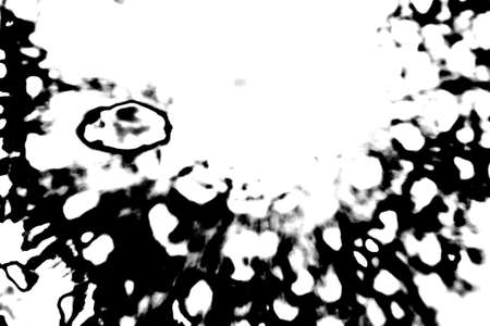 Abstract background. Monochrome texture. Image includes a effect the black and white tones.の写真素材