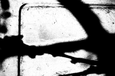 Abstract background. Monochrome texture. Image includes a effect the black and white tones.