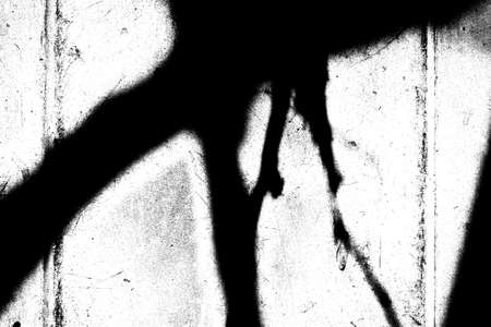 Abstract background. Monochrome texture. Image includes a effect the black and white tones.