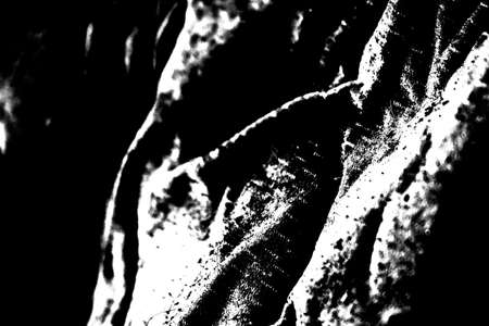 Abstract background. Monochrome texture. Image includes a effect the black and white tones.