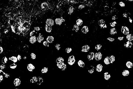 Abstract background. Monochrome texture. Image includes a effect the black and white tones.