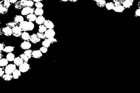 Abstract background. Monochrome texture. Image includes a effect the black and white tones.
