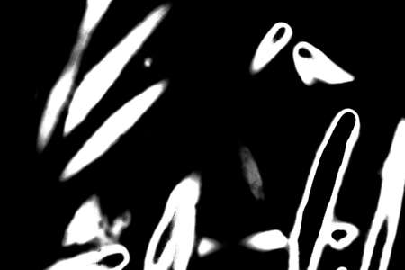 Abstract background. Monochrome texture. Image includes a effect the black and white tones.の写真素材