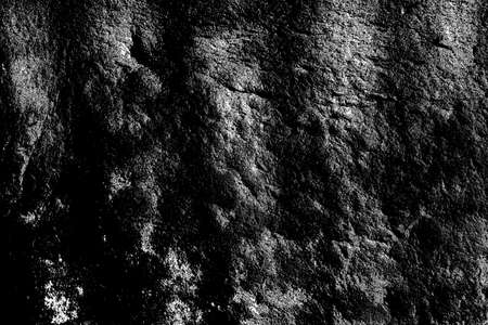 Abstract background. Monochrome texture. Image includes a effect the black and white tones.の写真素材