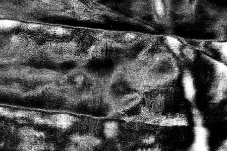 Abstract background. Monochrome texture. Image includes a effect the black and white tones.