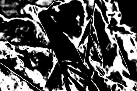 Abstract background. Monochrome texture. Image includes a effect the black and white tones.の写真素材