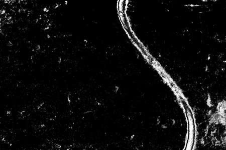 Abstract background. Monochrome texture. Image includes a effect the black and white tones.