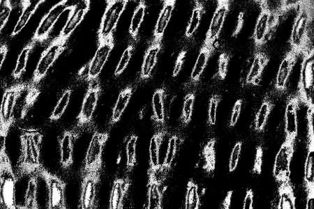 Abstract background. Monochrome texture. Image includes a effect the black and white tones.