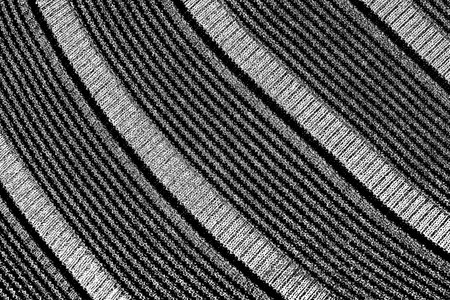 Abstract background. Monochrome texture. Image includes a effect the black and white tones.