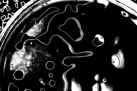 Abstract background. Monochrome texture. Image includes a effect the black and white tones.