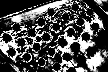 Abstract background. Monochrome texture. Image includes a effect the black and white tones.の写真素材