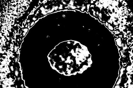 Abstract background. Monochrome texture. Image includes a effect the black and white tones.