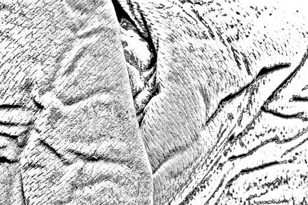 Abstract background. Monochrome texture. Image includes a effect the black and white tones.の写真素材