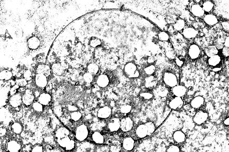 Abstract background. Monochrome texture. Image includes a effect the black and white tones.