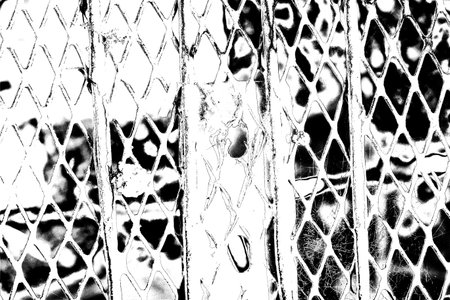 Abstract background. Monochrome texture. Image includes a effect the black and white tones.の写真素材