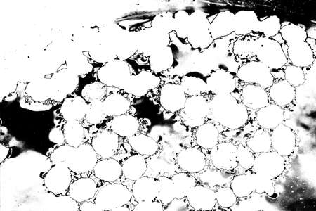 Abstract background. Monochrome texture. Image includes a effect the black and white tones.