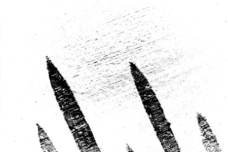 Abstract background. Monochrome texture. Image includes a effect the black and white tones.