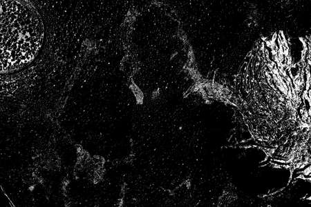 Abstract background. Monochrome texture. Image includes a effect the black and white tones.