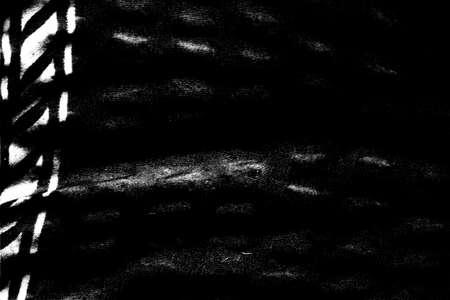 Abstract background. Monochrome texture. Image includes a effect the black and white tones.