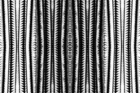 Abstract background. Monochrome texture. Image includes a effect the black and white tones.