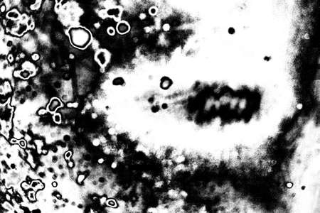 Abstract background. Monochrome texture. Image includes a effect the black and white tones.