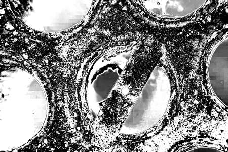 Abstract background. Monochrome texture. Image includes a effect the black and white tones.