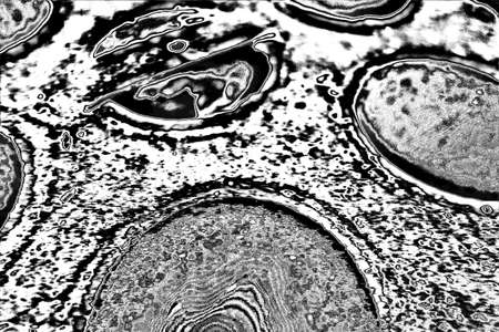 Abstract background. Monochrome texture. Image includes a effect the black and white tones.