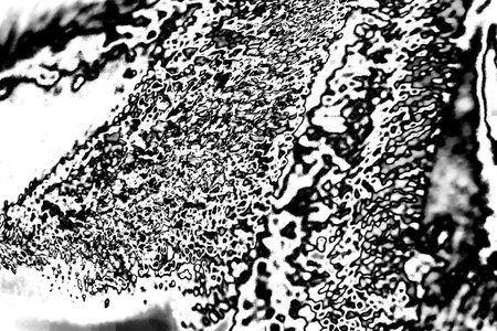 Abstract background. Monochrome texture. Image includes a effect the black and white tones.の写真素材