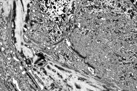 Abstract background. Monochrome texture. Image includes a effect the black and white tones.