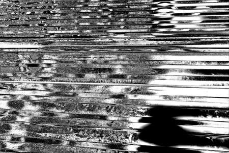 Abstract background. Monochrome texture. Image includes a effect the black and white tones.の写真素材