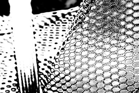 Abstract background. Monochrome texture. Image includes a effect the black and white tones.の写真素材