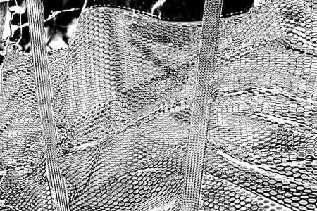 Abstract background. Monochrome texture. Image includes a effect the black and white tones.の写真素材