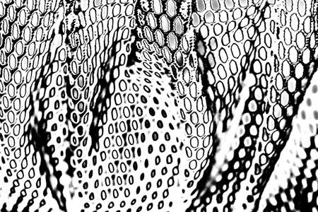 Abstract background. Monochrome texture. Image includes a effect the black and white tones.