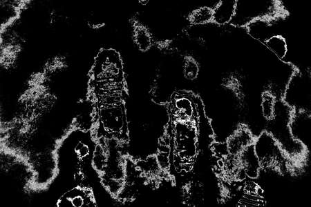 Abstract background. Monochrome texture. Image includes a effect the black and white tones.
