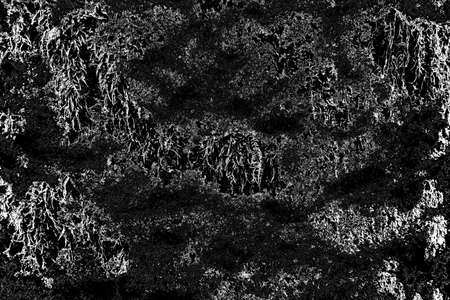 Abstract background. Monochrome texture. Image includes a effect the black and white tones.