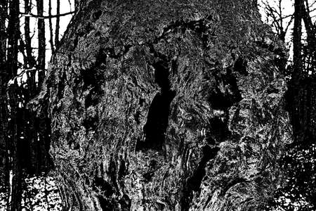 Abstract background. Monochrome texture. Image includes a effect the black and white tones.