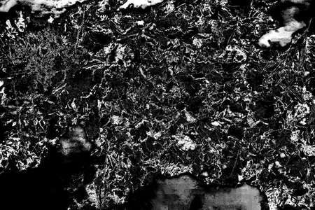 Abstract background. Monochrome texture. Image includes a effect the black and white tones.
