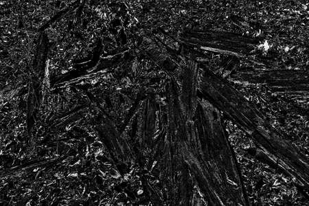 Abstract background. Monochrome texture. Image includes a effect the black and white tones.の写真素材