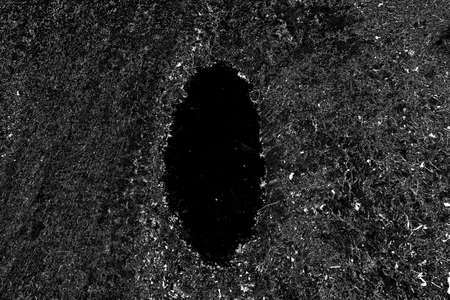 Abstract background. Monochrome texture. Image includes a effect the black and white tones.