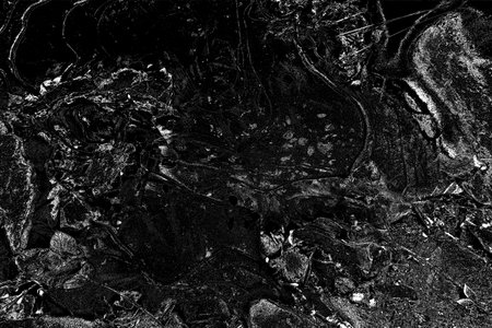 Abstract background. Monochrome texture. Image includes a effect the black and white tones.